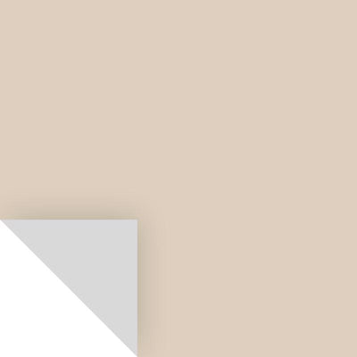 Samplize Benjamin Moore Manchester Tan Peel & Stick Color Sample HC-81