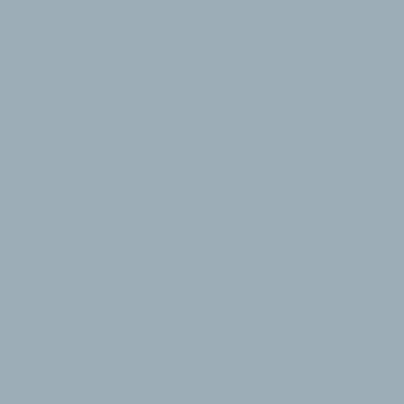 Samplize Benjamin Moore New Hope Gray Peel & Stick Color Sample 2130-50
