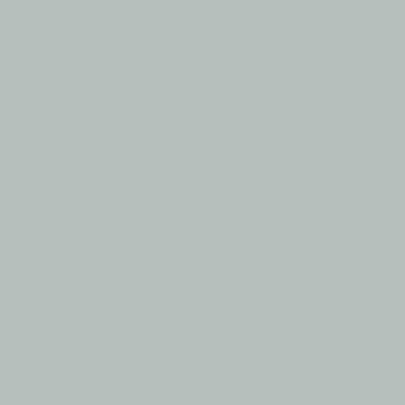 Samplize Benjamin Moore Palladian Blue Peel & Stick Color Sample HC-144