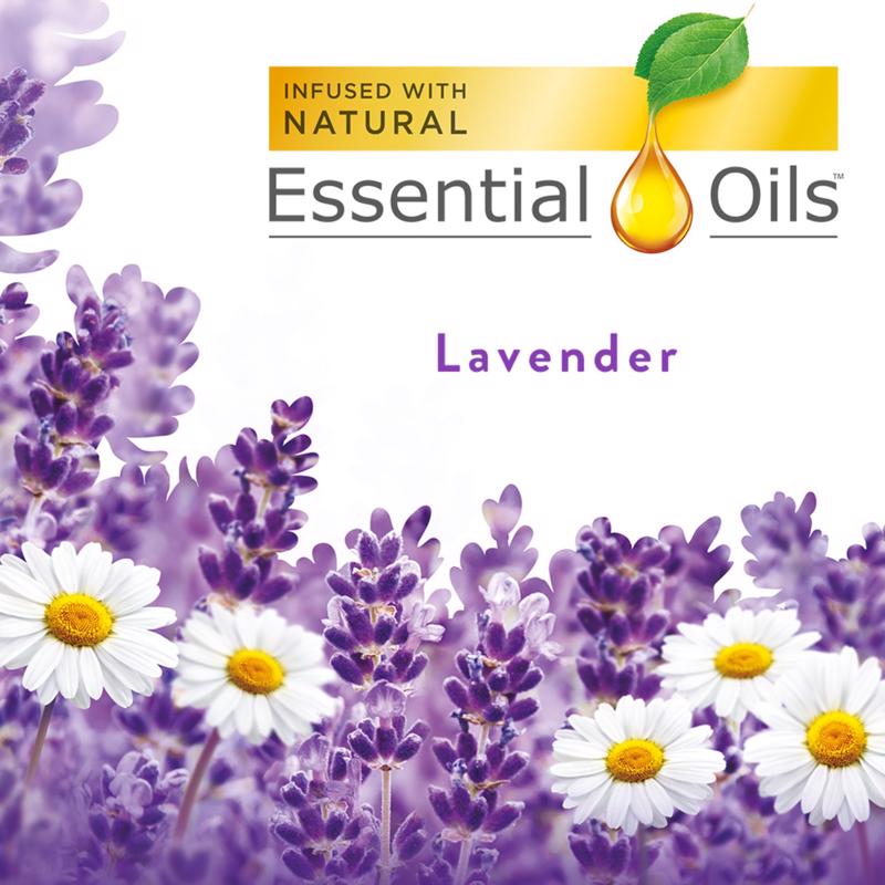 Air Wick Lavender and Chamomile Scent Air Freshener Oil Refill 3.38 oz Liquid 5 pk
