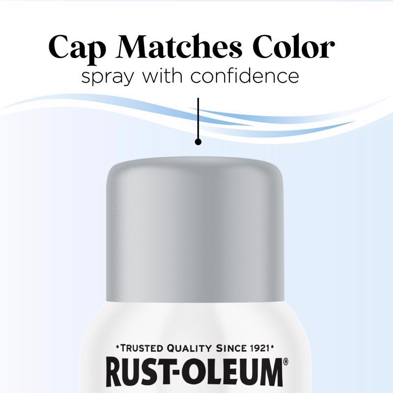 Rust-Oleum Low Odor Matte Daydreaming Spray  Paint 11 oz