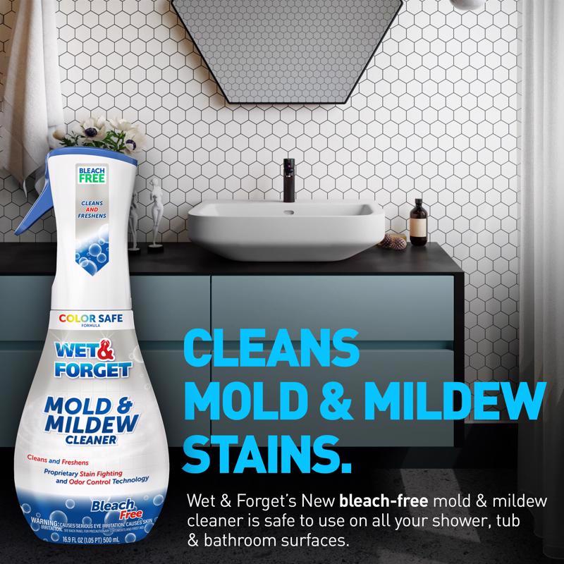 Wet & Forget No Scent Mold and Mildew Stain Remover 16.9 oz Foam