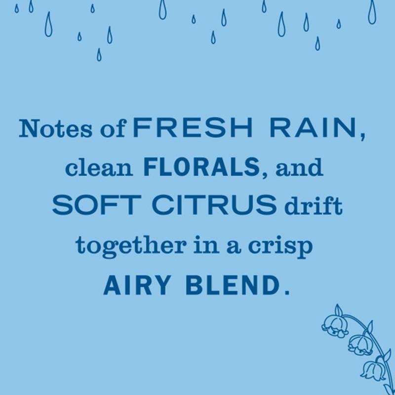 Mrs. Meyer's Clean Day Rain Water Scent Air Freshener Starter Kit 0.67 oz Liquid
