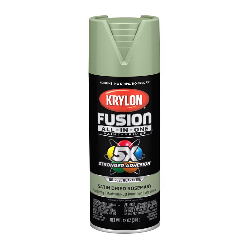 Krylon Fusion All-In-One Satin Dried Rosemary All-In-One Spray Paint 12 oz