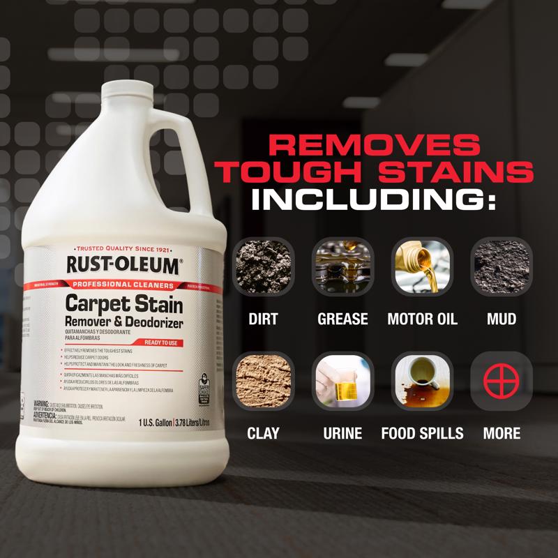 Rust-Oleum Professional Cleaners Citrus Scent Carpet Stain Remover 1 gal Liquid