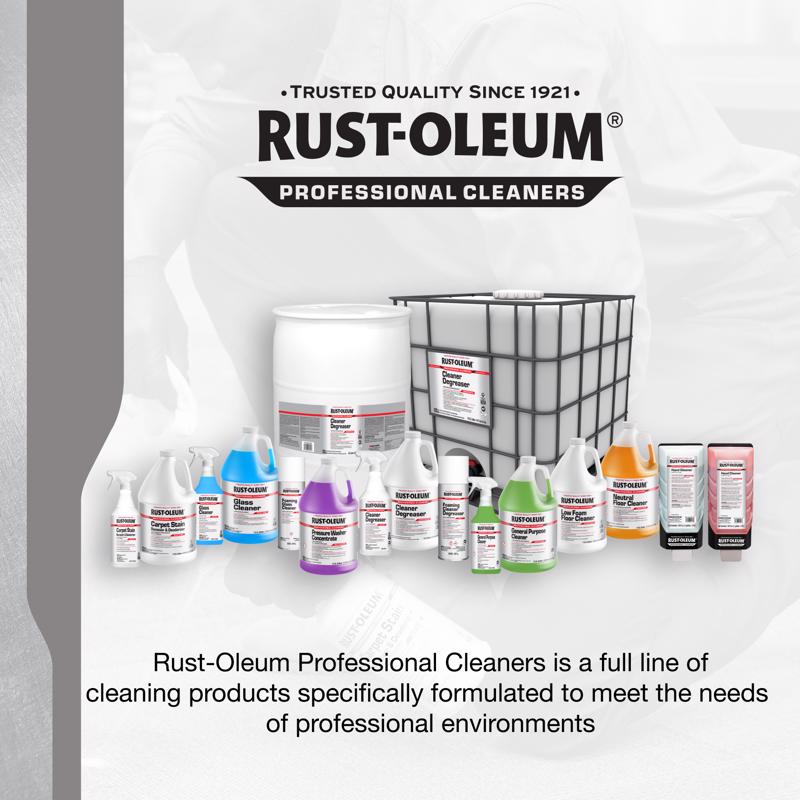 Rust-Oleum Professional Cleaners No Scent Glass Cleaner 32 oz Spray