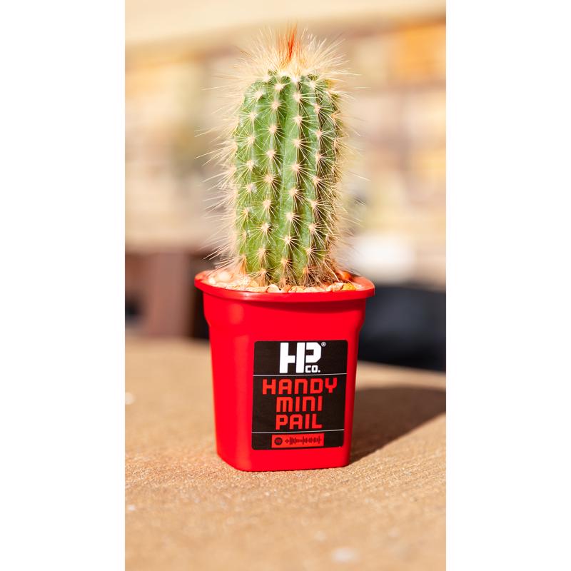 Handy Red Paint Pail