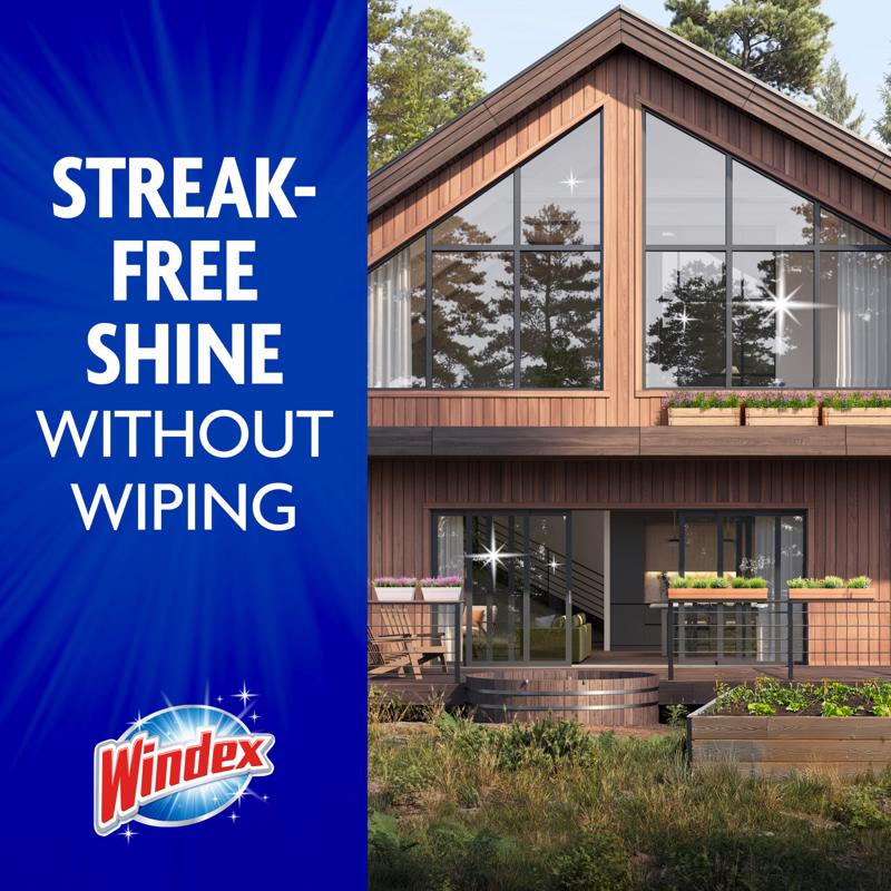 Windex No Scent Outdoor Glass Cleaner 32 oz Liquid