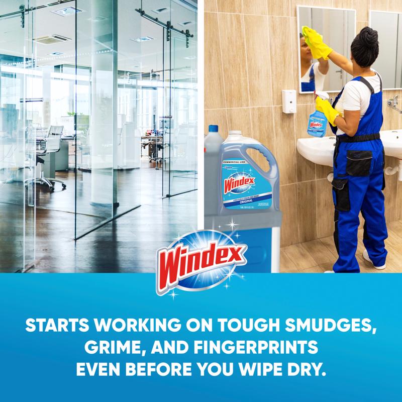 Windex Original No Scent Commercial Window Cleaner 32 oz Liquid