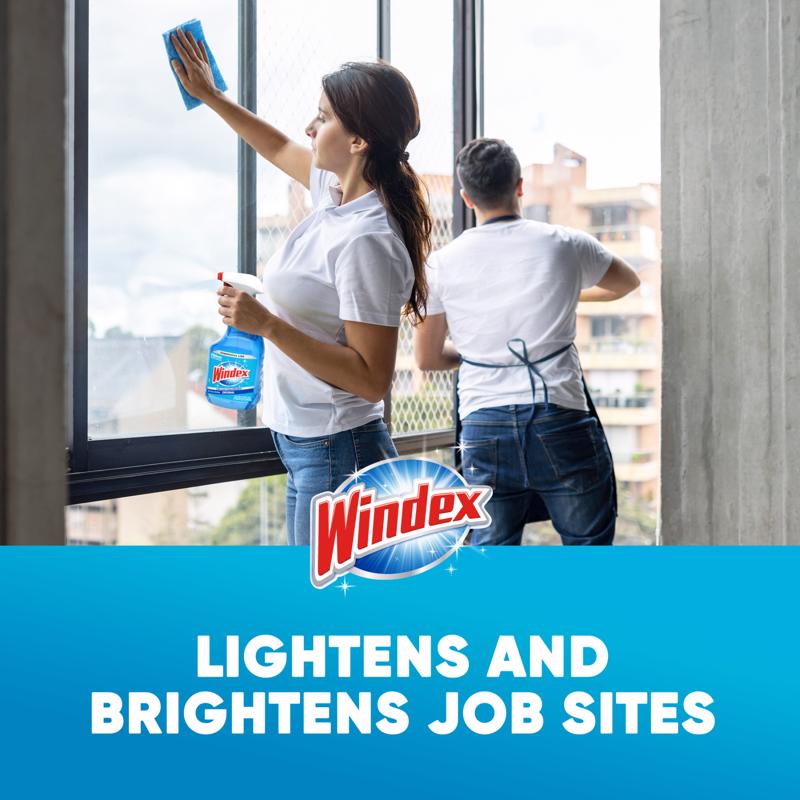 Windex Original No Scent Commercial Window Cleaner 32 oz Liquid