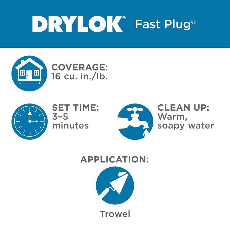 Drylok Fast Plug Hydraulic & Anchoring Cement 10 lb Gray