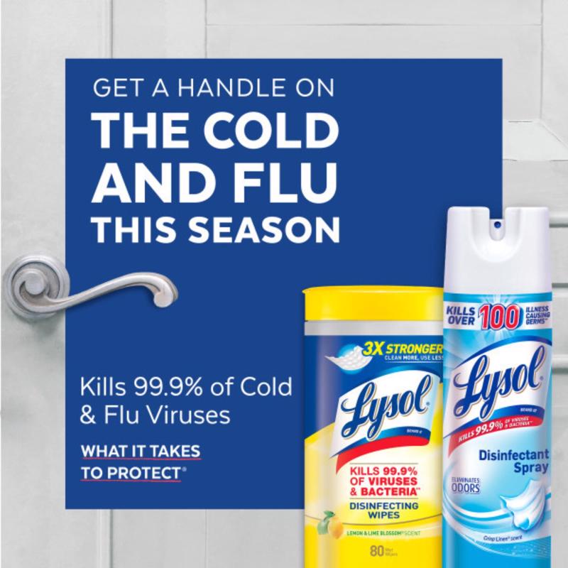 Lysol Professional Original Scent Disinfectant Spray 19 oz