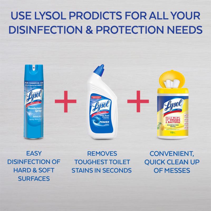 Lysol Professional Original Scent Disinfectant Spray 19 oz