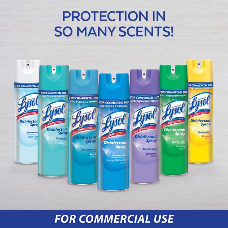 Lysol Professional Original Scent Disinfectant Spray 19 oz