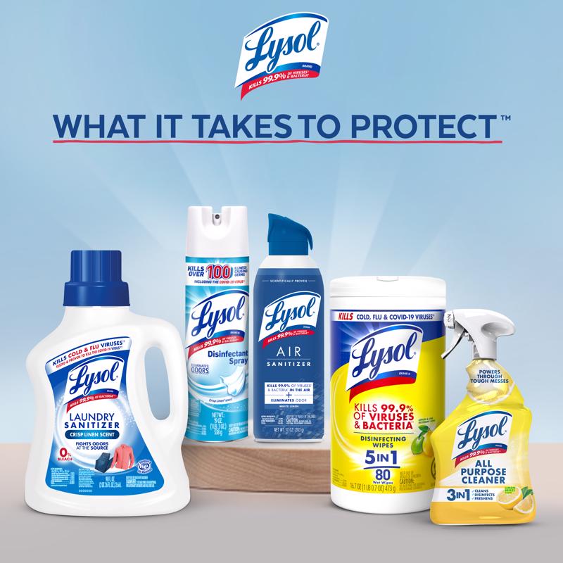 Lysol Mold and Mildew Stain Remover 32 oz