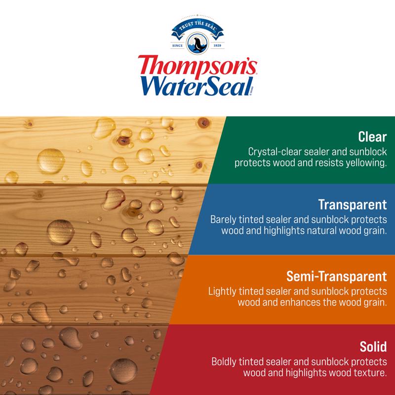 Thompson's WaterSeal Clear Water-Based Multi-Surface Waterproofer 12 oz