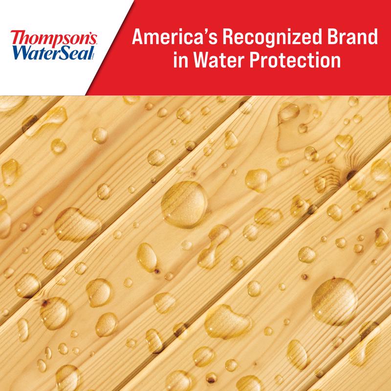 Thompson's WaterSeal Clear Water-Based Multi-Surface Waterproofer 12 oz
