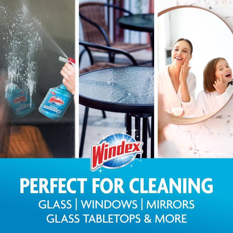 Windex Original No Scent Glass Cleaner 23 oz Liquid