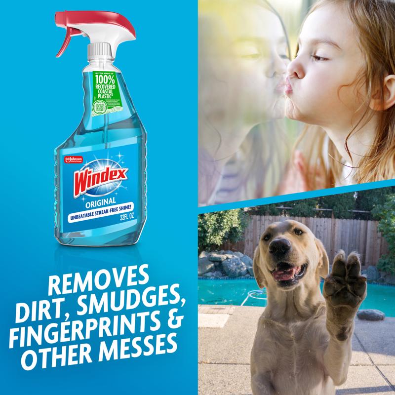 Windex Original No Scent Glass Cleaner 23 oz Liquid