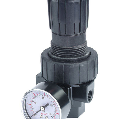 Tru-Flate Plastic/Steel Compact Regulator with Gauge 3/8 in. NPTF 125 psi