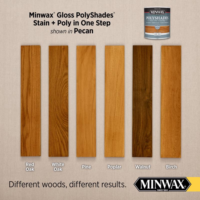 Minwax PolyShades Semi-Transparent Gloss Pecan Oil-Based Stain/Polyurethane Finish 1/2 pt