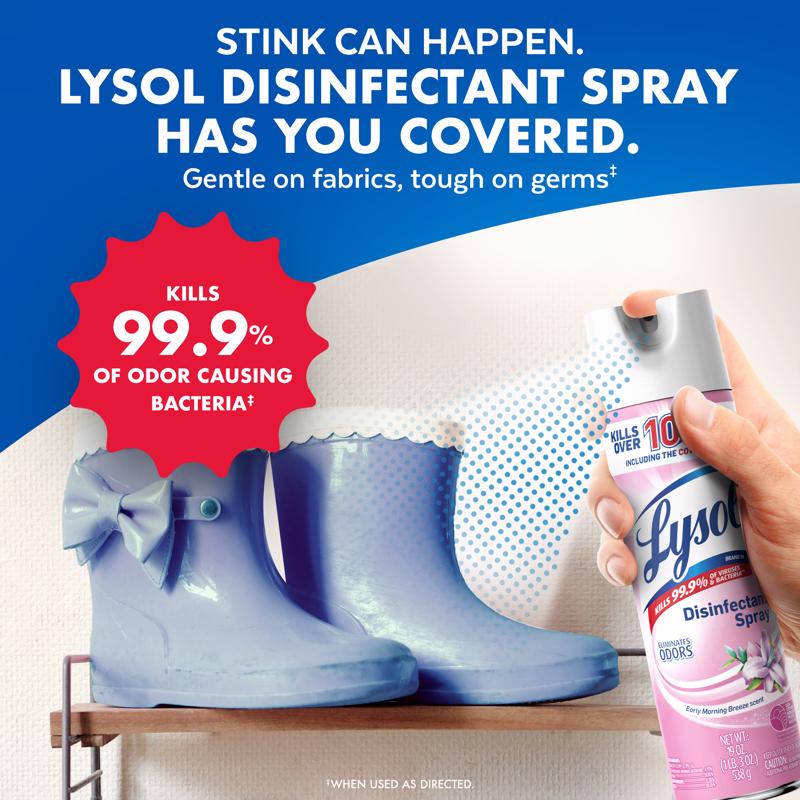 Lysol Early Morning Breeze Scent Disinfectant Spray 12.5 oz