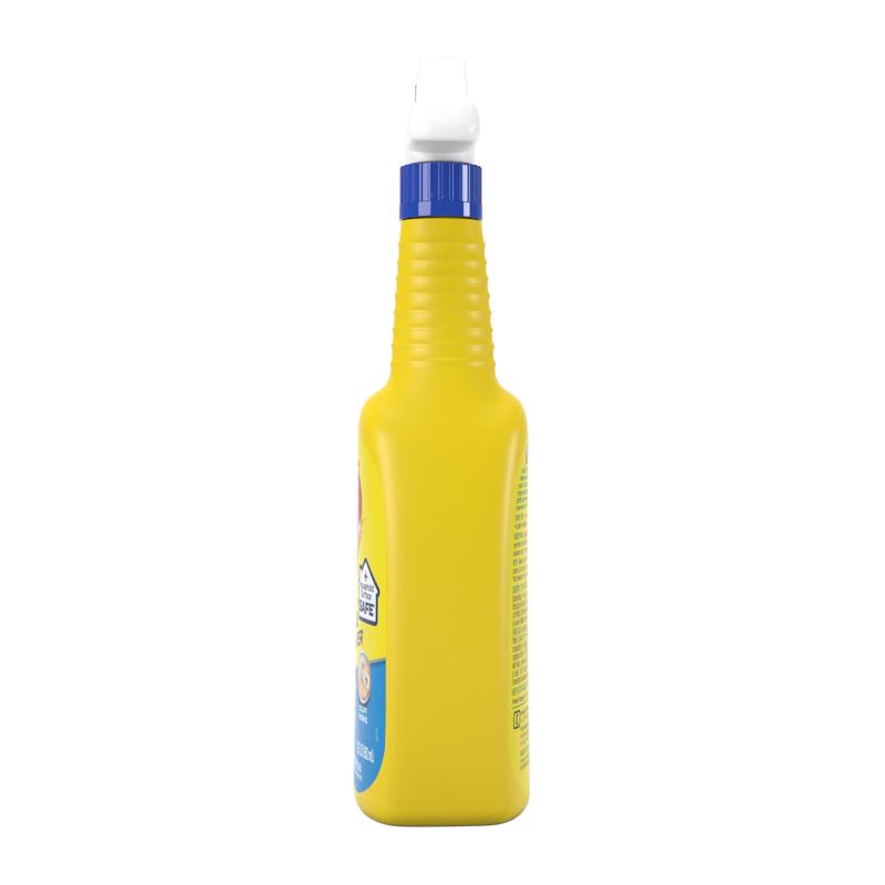 Goof Off All Purpose Remover 22 oz