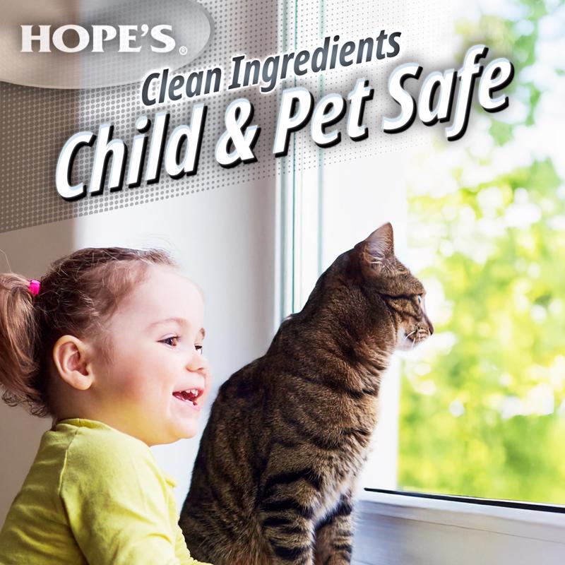 Hope's Perfect Glass No Scent Glass Cleaner 32 oz Liquid