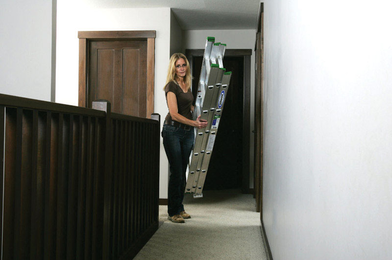 Werner 16 ft. H Aluminum Extension Ladder Type II 225 lb. capacity