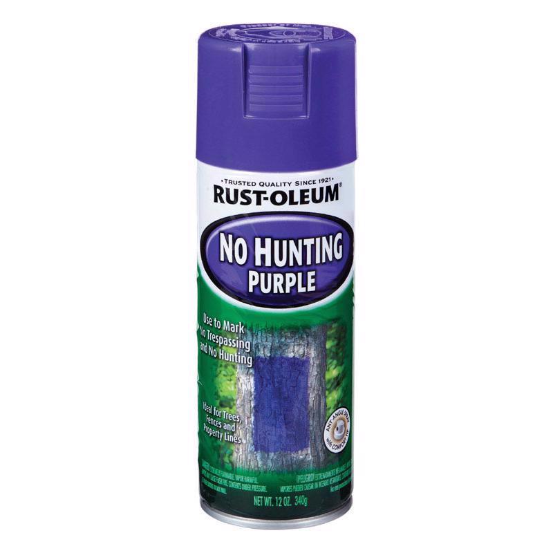 Rust-Oleum Gloss No Hunting Purple Spray Paint 12 oz