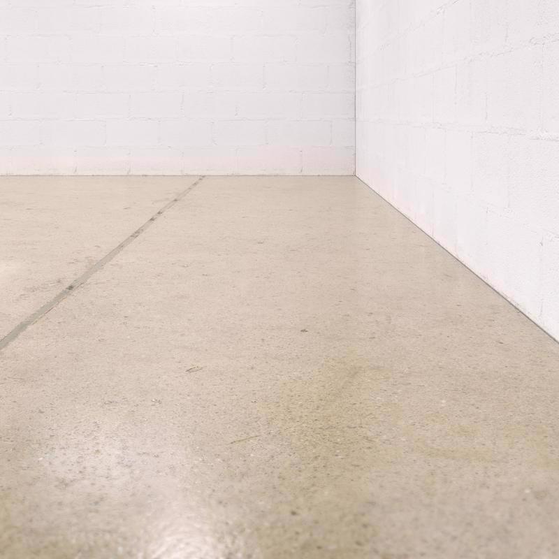 Drylok Floor and Wall Clear Latex Masonry Waterproof Sealer 1 gal