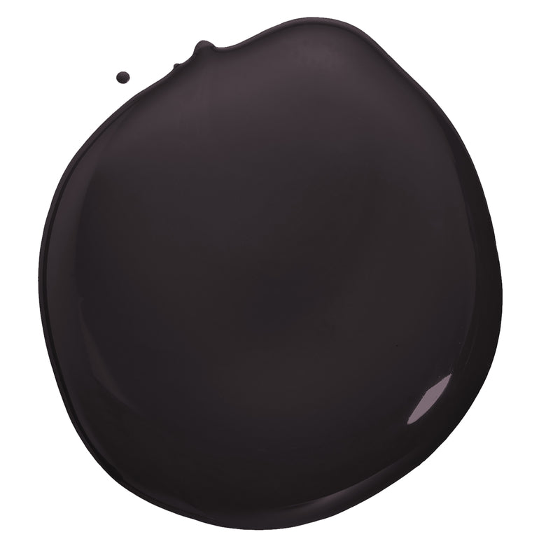 Beyond Paint Matte Licorice Water-Based Paint Exterior and Interior 1 gal