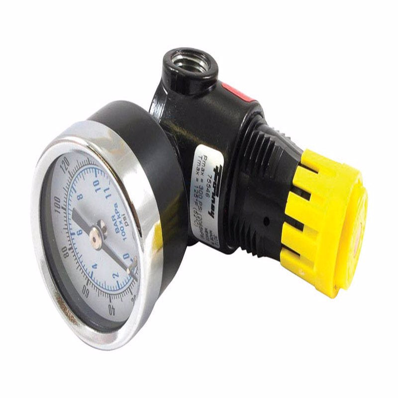 Forney Plastic Mini Regulator 1/4 in. NPT 150 psi