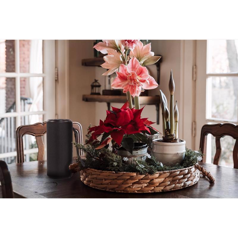 Celebrations Wireless Bluetooth Speaker