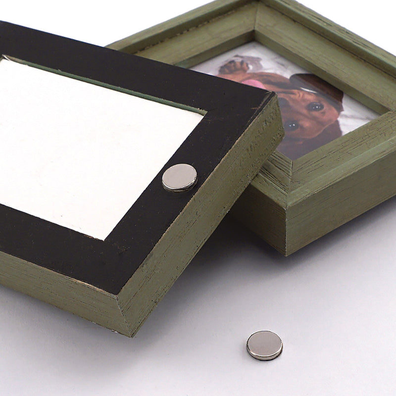 Magnet Source 0.375 in. L X 0.375 in. W Silver Disc Magnets with Adhesive 1.68 lb. pull 12 pc