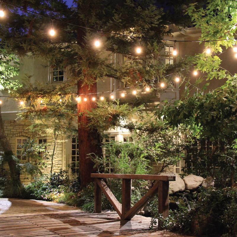 Feit LED Mix N Match Socket String Light Strand Clear 10 ft. 5 lights