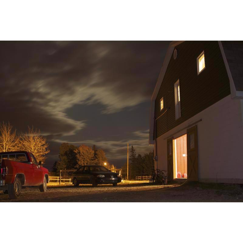 Feit Corn Cob E26 (Medium) LED Bulb Daylight 500 Watt Equivalence