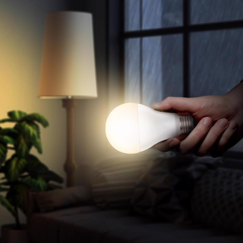 Feit A21 E26 (Medium) LED Bulb Soft White 60 Watt Equivalence