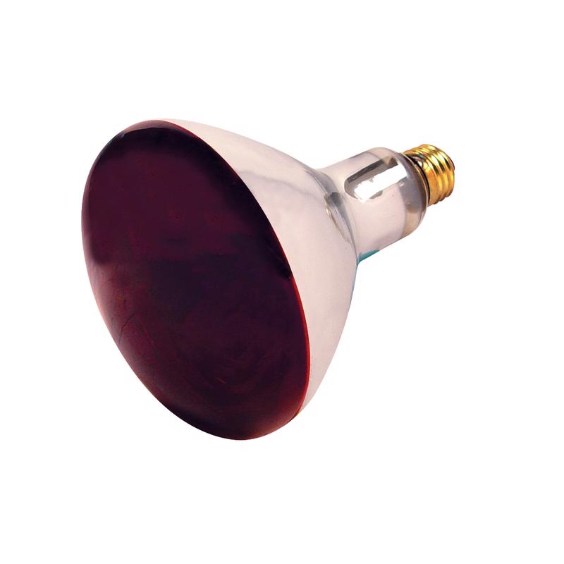Satco 250 W R40 Heat Lamp Incandescent Bulb E26 (Medium) Red