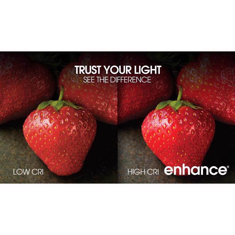 Feit Enhance T10 E26 (Medium) LED Bulb Daylight 40 Watt Equivalence