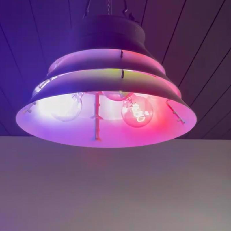 Feit Smart Home G30 E26 (Medium) Smart-Enabled LED Bulb Color Changing 60 Watt Equivalence
