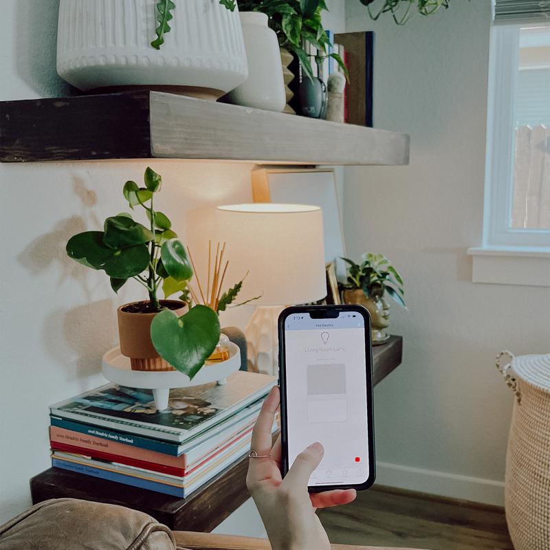 Feit Smart Home A21 E26 (Medium) Smart-Enabled LED Bulb Color Changing 100 Watt Equivalence