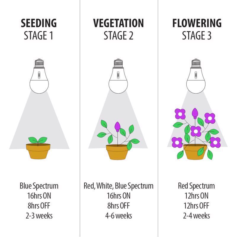 Feit A21 E26 (Medium) LED Grow Light Color Changing 17 Watt Equivalence