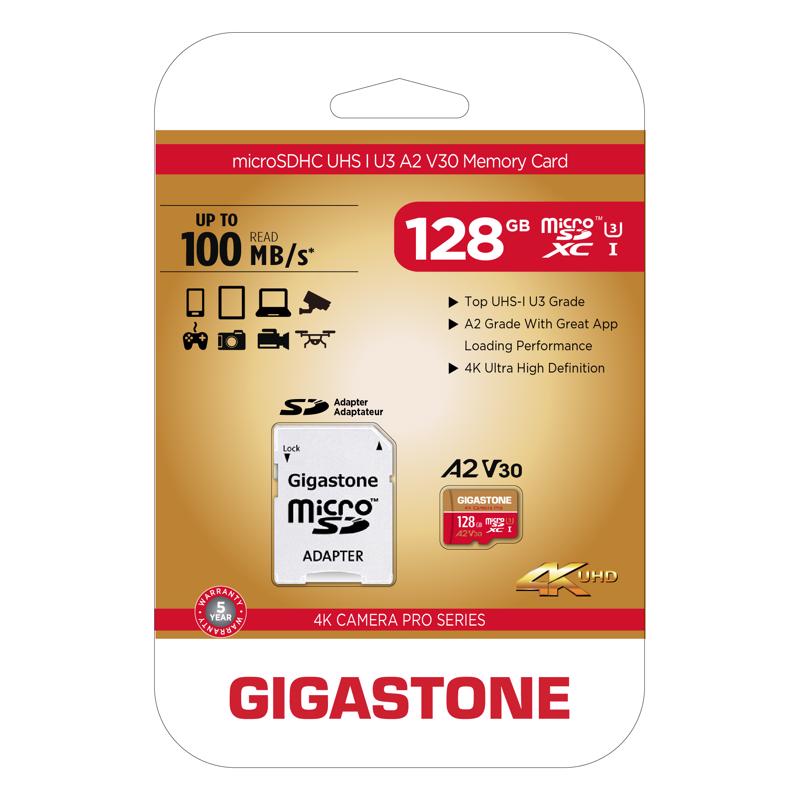 Gigastone SD Flash Memory Card