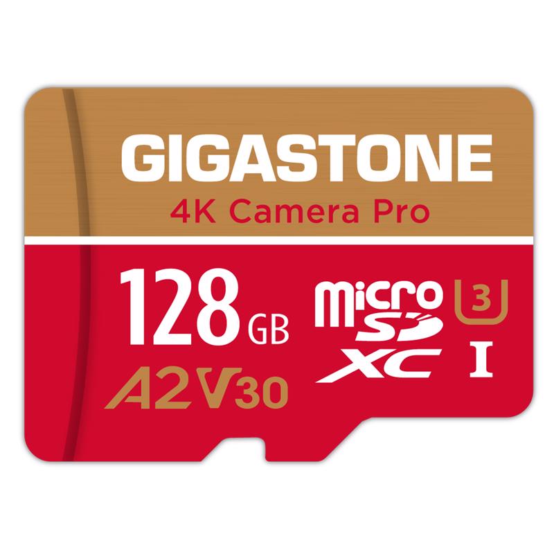 Gigastone SD Flash Memory Card