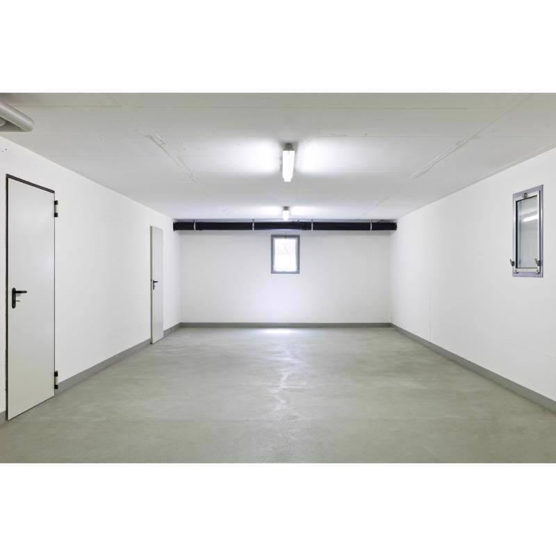 Feit Linear T8 Cool White 48 in. Bi-pin Linear LED Linear Lamp 32 Watt Equivalence 2 pk