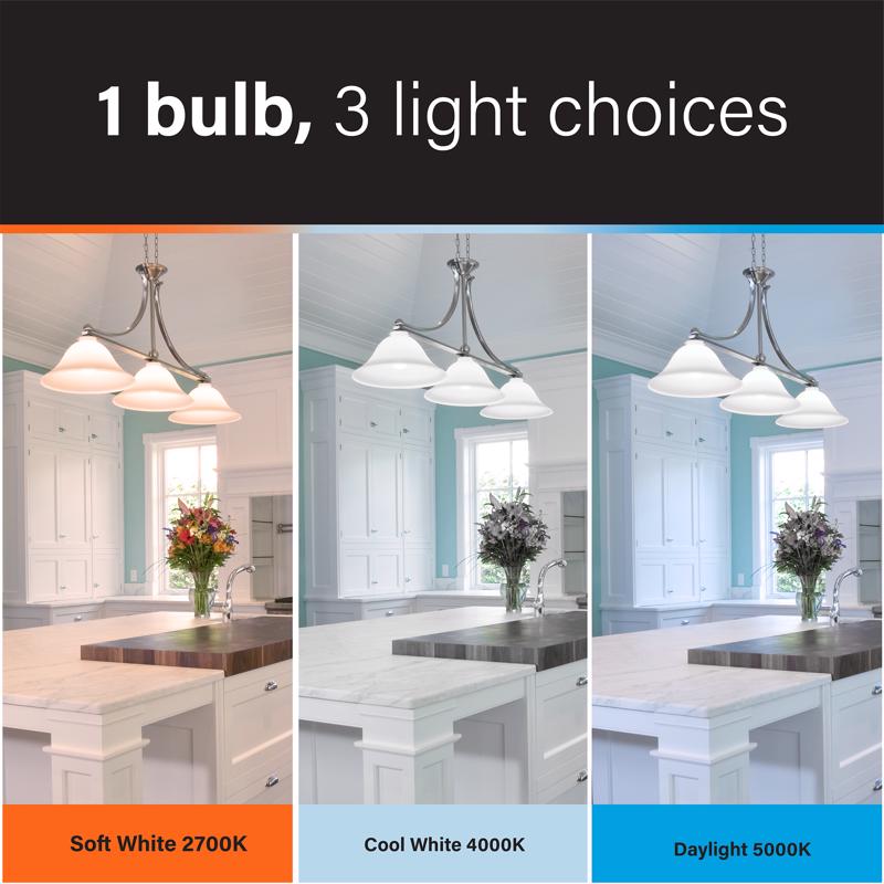 Feit A21 E26 (Medium) LED Bulb Adjustable White 200 Watt Equivalence
