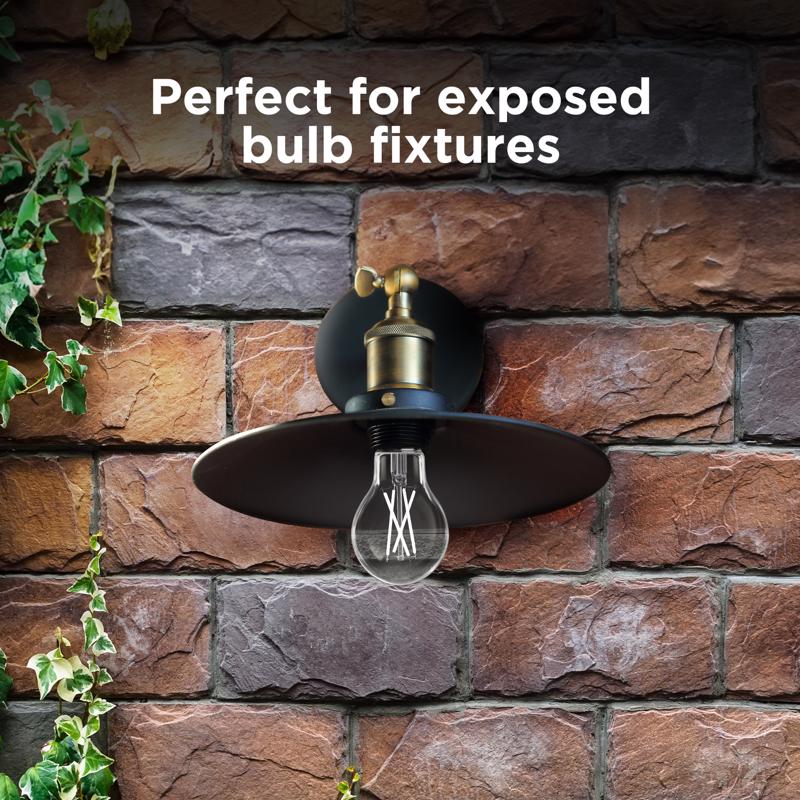 Feit A19 E26 (Medium) LED Dusk to Dawn Bulb Daylight 60 Watt Equivalence