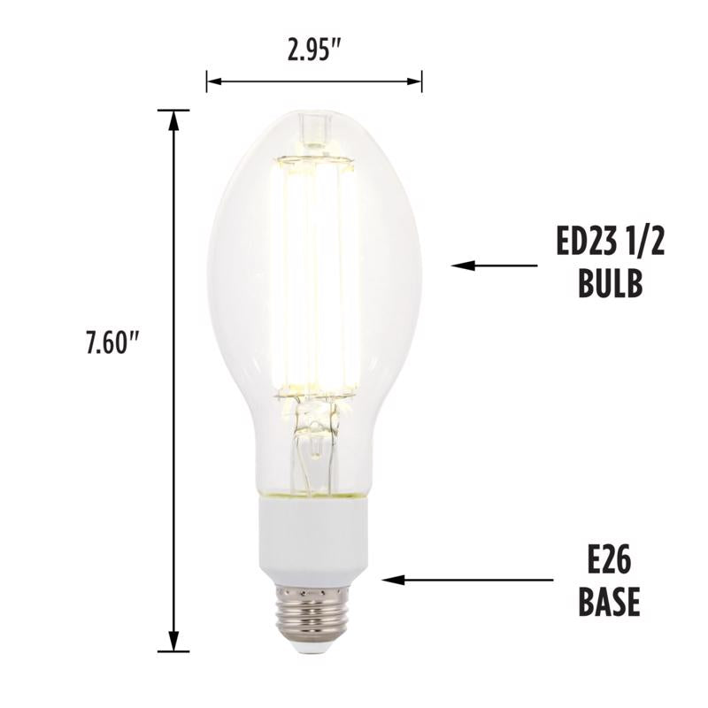Westinghouse ED23.5 E26 (Medium) Filament LED Bulb Daylight 200 Watt Equivalence