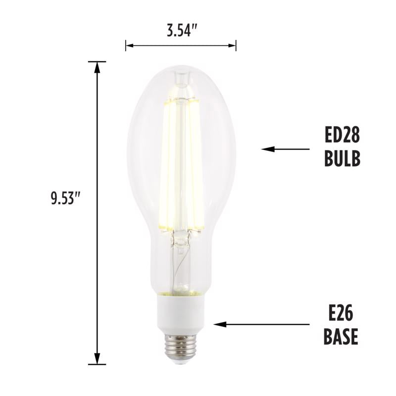 Westinghouse ED28 E26 (Medium) Filament LED Bulb Daylight 300 Watt Equivalence